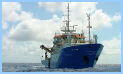 Pelagia
